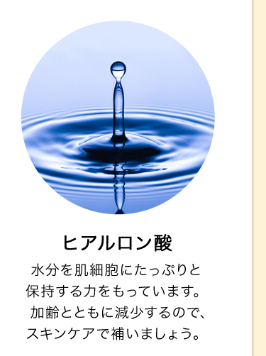 ヒアルロン酸 水分を肌細胞にたっぷりと保持する力をもっています。加齢とともに減少するので、スキンケアで補いましょう。